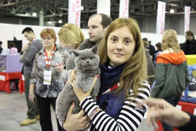 выставки кошек это очень интересно, наш голубой кот Спартак тоже был на выставке кошек в классе юниоров
