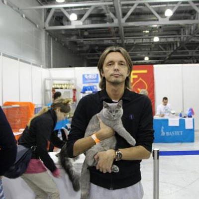 международная выставка кошек , система FIFe