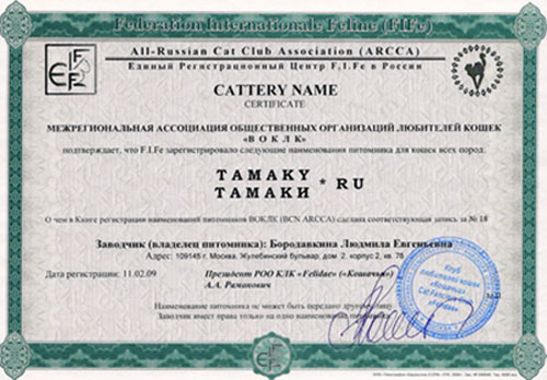 сертификат на питомник кошек TAMAKY*RU 